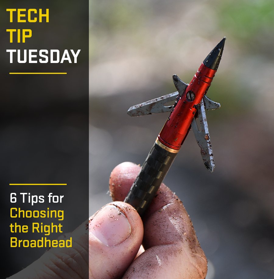 Achieve maximum penetration and lethal damage with your crossbow by choosing the right broadhead.

Check out 6 tips to sort through the many options on the market today -&gt; bit.ly/2VbfNQx

#tenpointcrossbows #crossbows #crossbowbroadhead