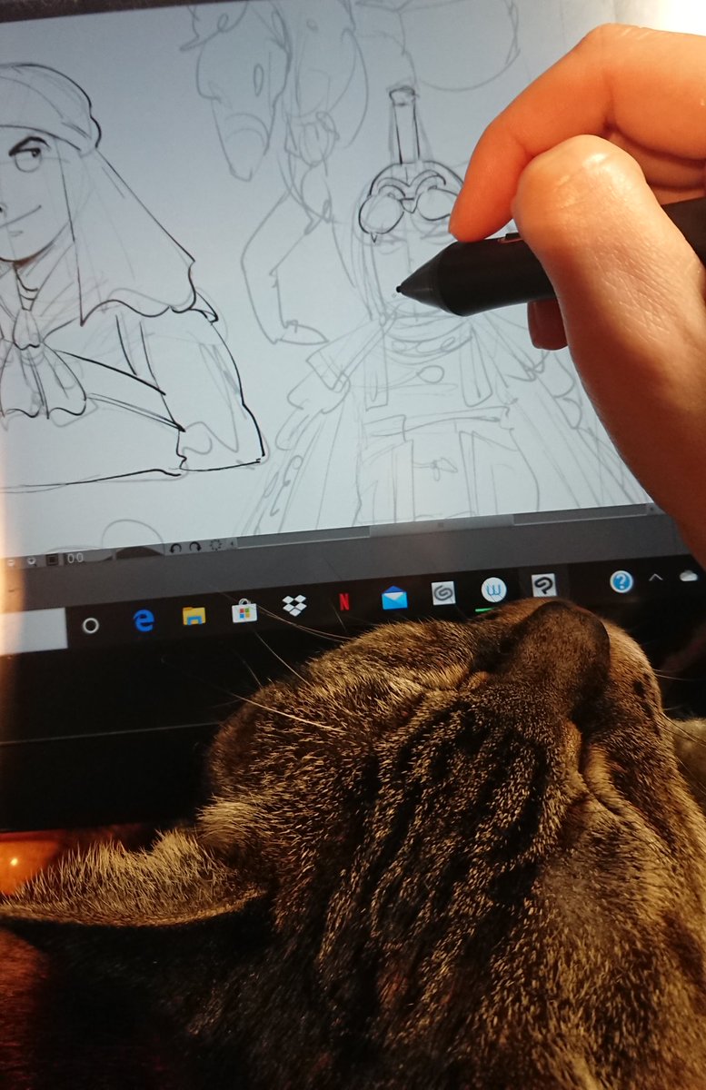 突然の若大将と膝の猫 