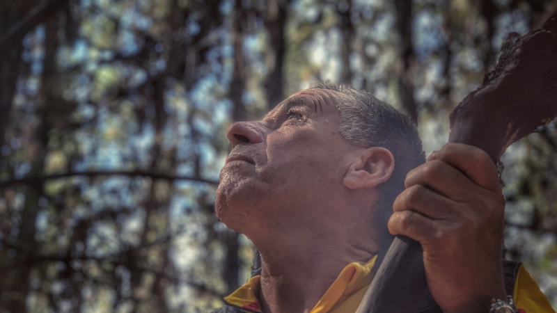 PEFC's tweet photo. The second instalment of our micro documentary series #HumansoftheForests takes us to Chile, where we meet José Daniel Cáceres, who shares his story with us. He has been working in the #forest for 40 years, but has never lost his love for it. https://t.co/9xlmv6vTRK https://t.co/w4kv9gsWyg