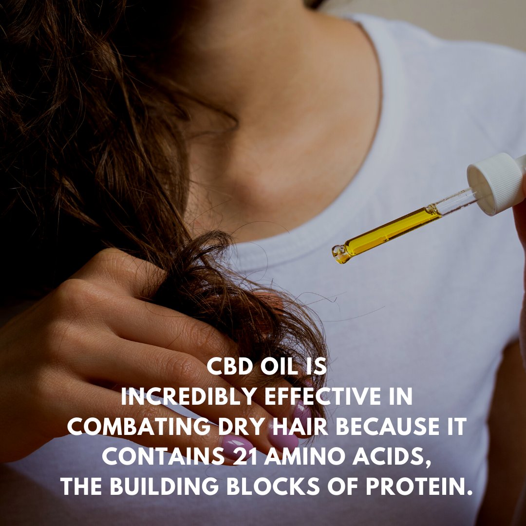 CanyonHempCo's tweet photo. CBD seems to help build up collagen and elastin, which are crucial to hair strength. (Source: BeautyOrgazm) 
#CBDHairCare https://t.co/c7e0KK0jN5