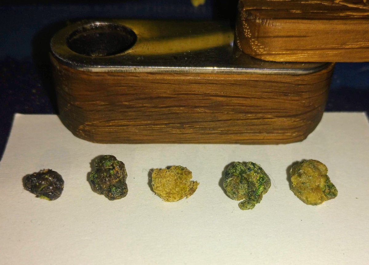 TempleGrower's tweet photo. The spoils of the trim... #scissorhash. ๐๐Nice colours. I've already finished the Jack1 ball.. Shit was like taffy. ๐คค
#GrowYourOwn #Cannabis #Terpenes https://t.co/pJnNHxUSLy