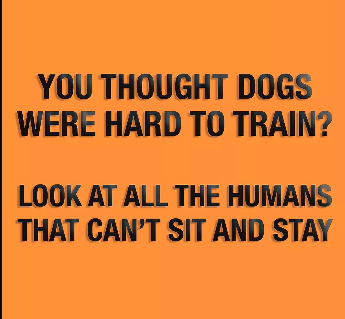 c4heroes's tweet photo. Here’s hoping your Tuesday “training”  is going well for all two and four legged family members!   

#C4H #companionsforheroes #rescuedog #shelterdog #servicedog #companions #navy #army #military #airforce #coastguard #marines #nationalguard #ptsd #freeadog #saveavet https://t.co/XR2gKkI7XV