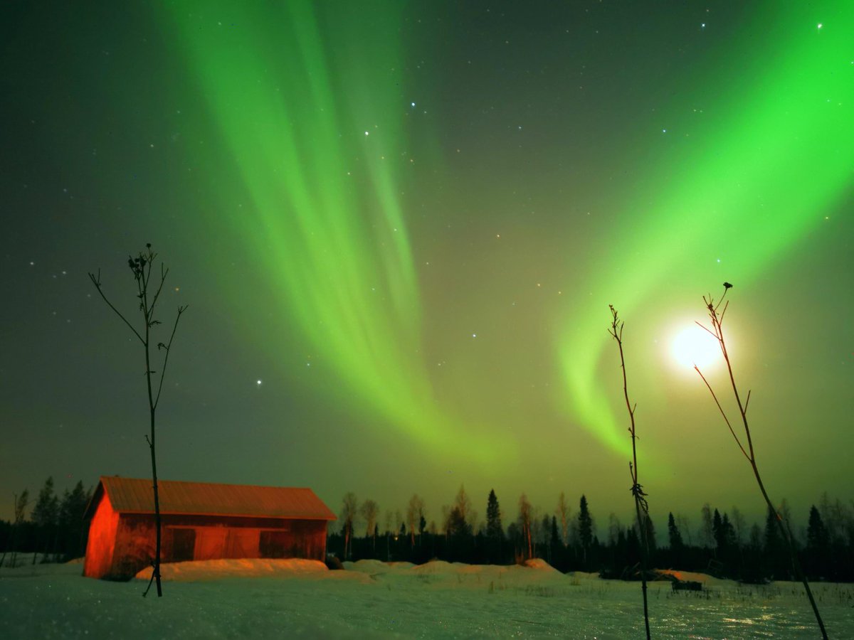 SantasHotels's tweet photo. A3. We admit, we are biased but it is true that Finland, Lapland in particular is an amazing destinations for outdoor activity based vacations!
#SantasHotels #OutdoorActivities
#TRLT
#northernlights #icyfloating #snowstatue
Pics: @Touchse https://t.co/0xrheCBJWD