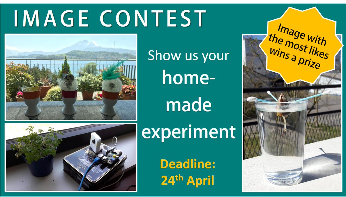 Scientific Staff Association at Dept. of Materials tweet media