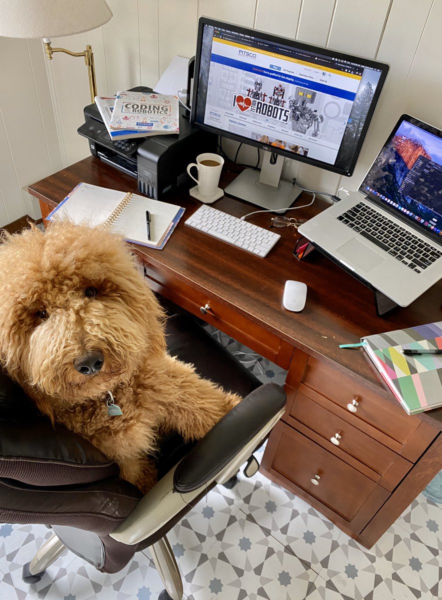 <a href="/pitscoed/">Pitsco Education</a> All the necessities here!
☕️🐶🤖

#WorkFromHome #STEMatHome