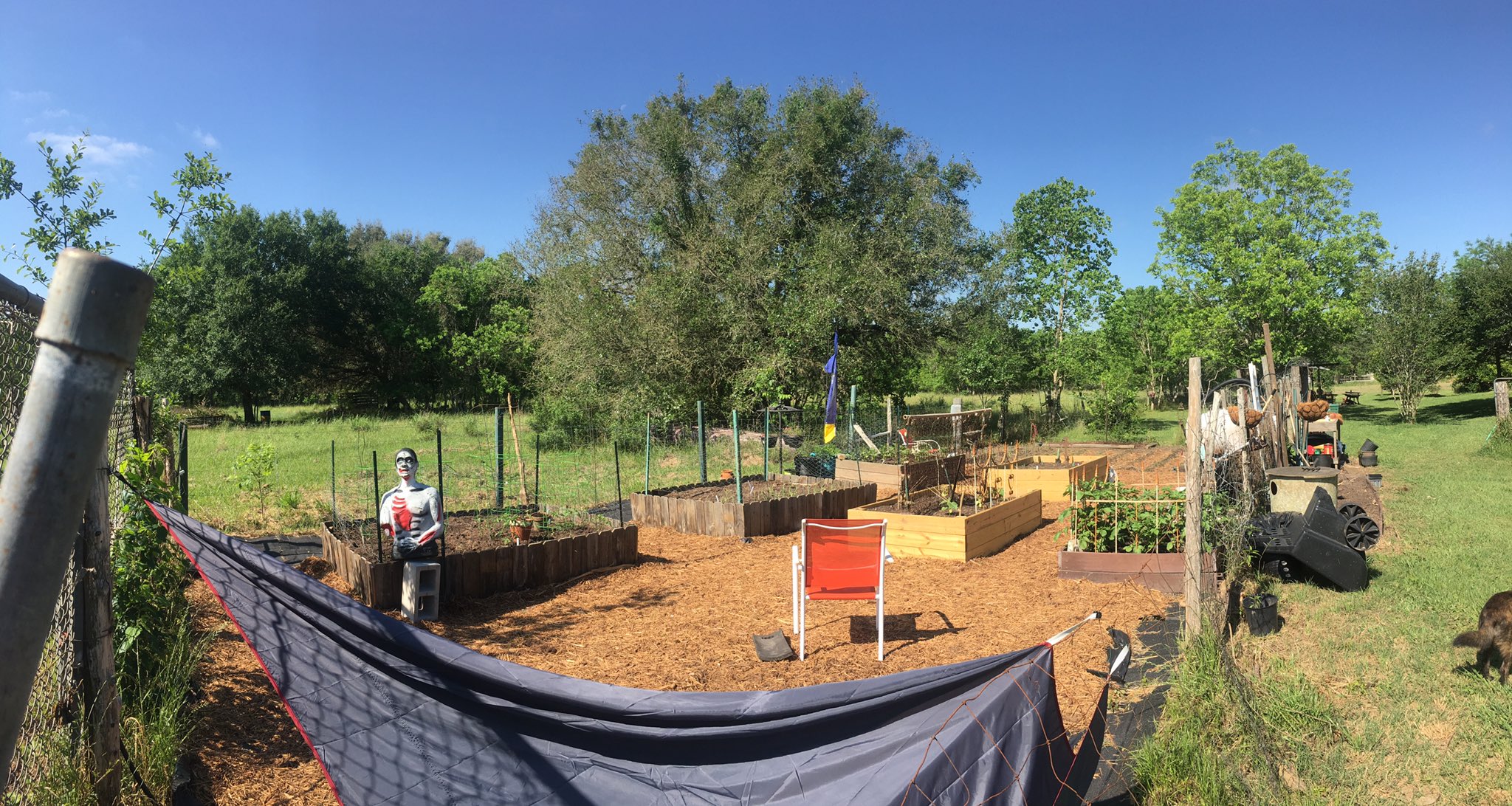  Gardening has been my happy place recently. Happy birthday! 