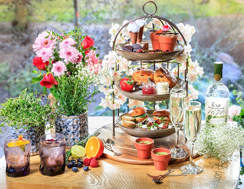 TEGmagazine's tweet image. #OnceThingsGetBackToNormal : Gardens to visit with smashing vegan-friendly cafes!      theenglishgarden.co.uk/gardens/garden…

#gardens #vegan