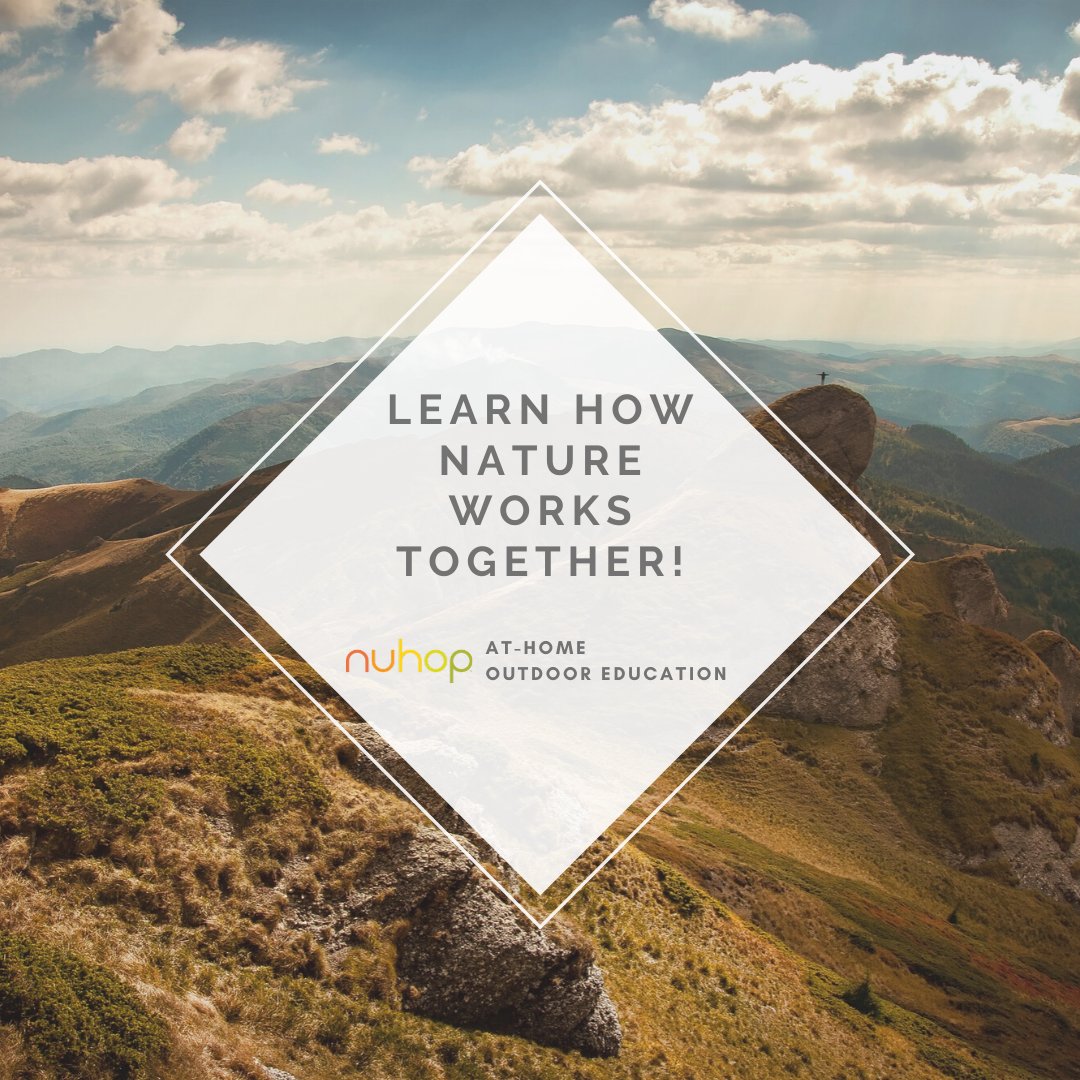 Did you know that animals out in nature rely on each other? We call these Symbiotic Relationships. Learn about them and the way they work at the link below.

sites.google.com/nuhop.org/at-h…