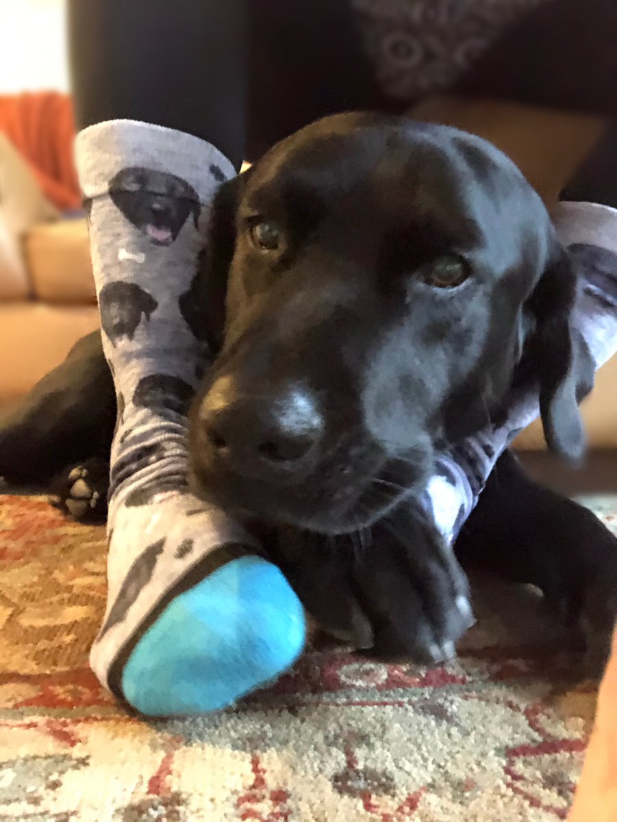 Spirit Week day#2 Crazy Socks #gslearning #SpiritWeek #gulliverfamily