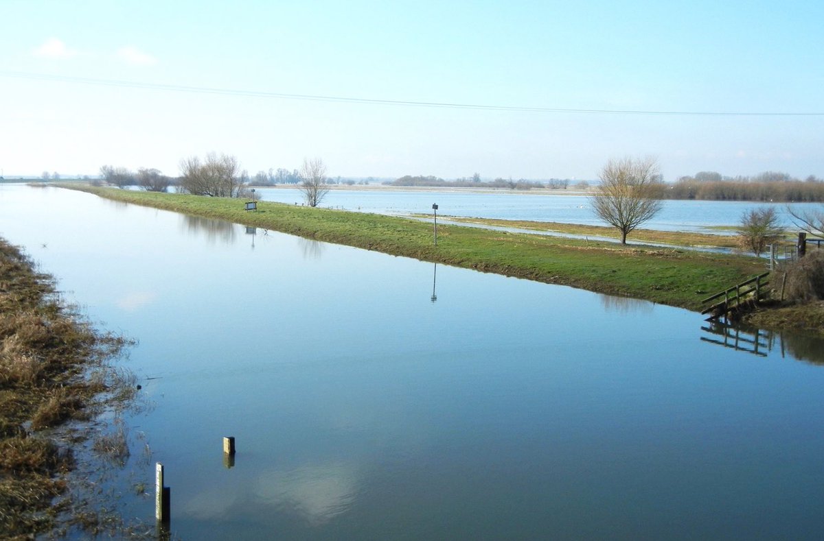 11. So Hempsall was flooded earlier & for longer each year than the Old Meadow, & that partly explains the timing of the rotation of the animals around the commons. But the commons were also used for growing hay to feed the beasts over the winter so that had to be factored in too