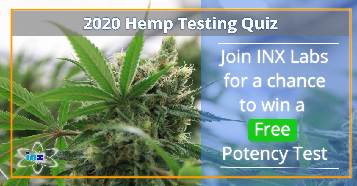 lacannabisclub's tweet photo. Have you ever wondered what is in your Cannabidiol? 

Find out with these 6 analytical tests below how to help improve your hemp crop. 

https://t.co/NNwGAfEeAg via @InxLaboratories

#hemptips #hempbusiness #potencytest https://t.co/Dafv7IBDpQ