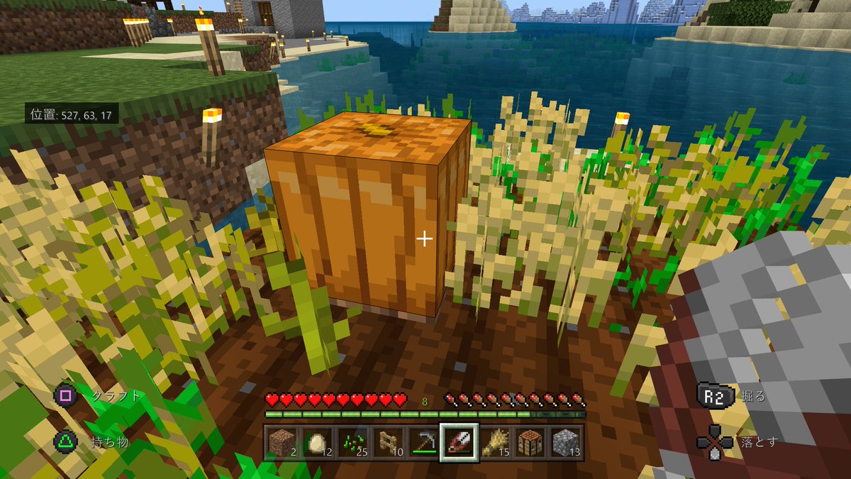 ぼへのマイクラまとめ Min T ミント ぼへのマイクラまとめ Min T ミント