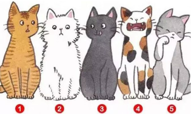 *THREAD*
Psikologi 

korang nak tahu tanggapan orang di sekeliling korang terhadap diri kita?

okay pilih 1 kucing yang korang paling suka.
🐈🐈🐈