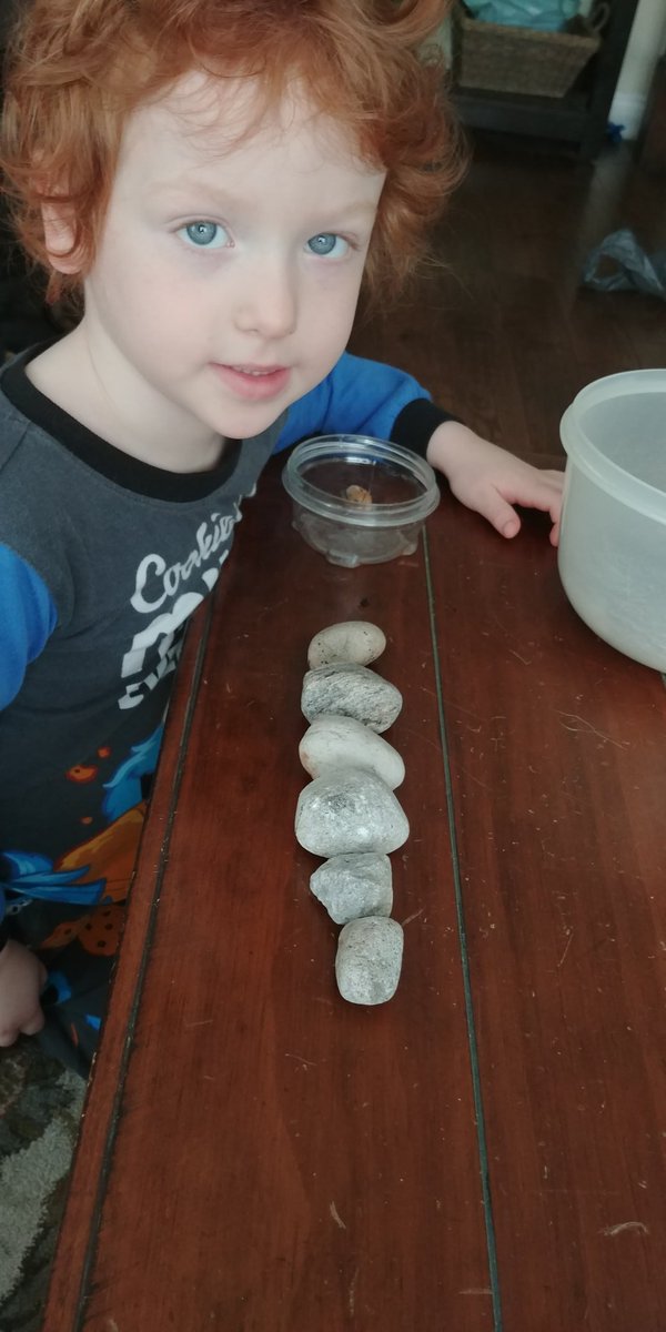 Lisa Evans tweet media