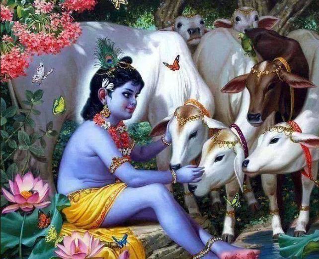 7. SimplicityThe foremost quality that Lord Krishna stands for is his simplicity. He spent his early childhood in Gokul – a ‘cow-village’ in Northern India before moving to Vrindavan. He formed relationships or bonds of love with ordinary human beings. He was still friends with