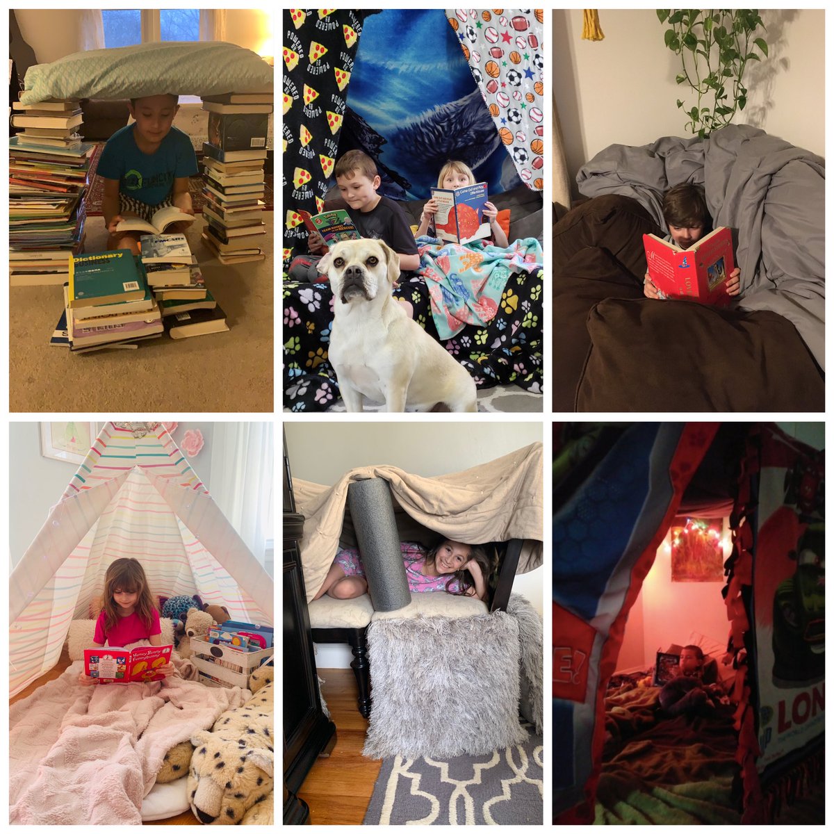 kidreads's tweet photo. More book forts! Students built their own structures to create a comfortable space at home for reading. #RIReadsAtHome #AprilReadingChallenge #SLRIReadsTogether @myronjfrancis https://t.co/9qeKrjc4tU