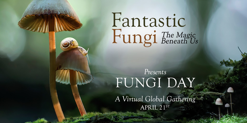 Fungal networks? #Soil health? #Earth Day? Sounds... fantastic! 🍄 One week from now, join <a href="/FantasticFungi/">Fantastic Fungi</a> to celebrate the wonders of #fungi with experts from around the world: fantasticfungi.com/connect/
