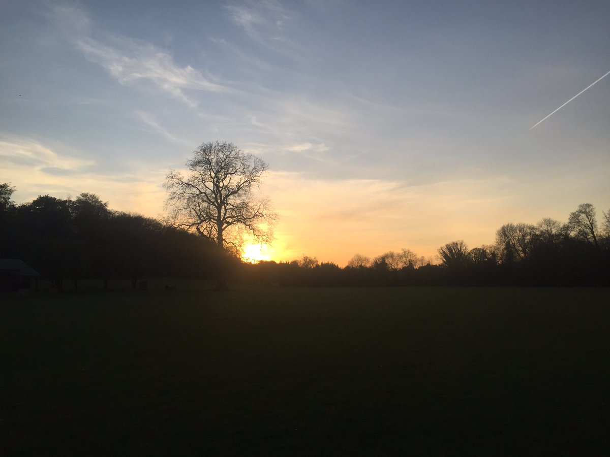 RMSHistDepart's tweet image. Appreciating the beauty at @RMSforGirls this week- from the beautiful blossom to the sunset silhouettes #appreciatethelittlethings  #beautifulspring #nature