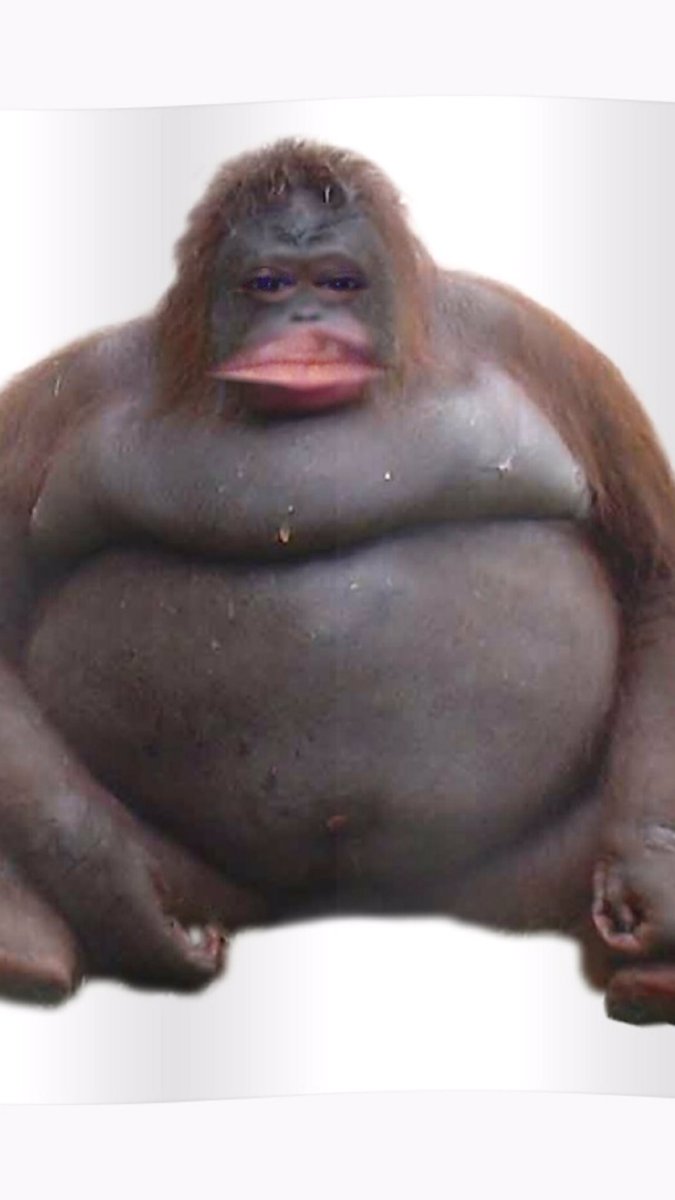 Issamoo20518490's tweet photo. niggas be leavin they pretty gf fo a bih who look like this🤦🏾‍♀️: https://t.co/aCbkCSDHXi