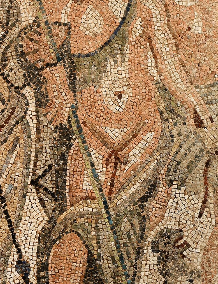 I knew Aphrodite was the goddess of sex, but in this unique iconography she appears to have both labia and butt cheeks on display at once!
