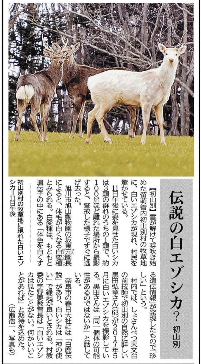 Etiqueta 白いシカ Al Twitter Etiqueta 白いシカ Al Twitter