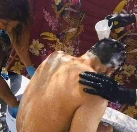 dilamulo's tweet photo. Así empezó nuestra historia, cuando lo encontré tirado en San Blas, después de una buena bañada lo invité a mi casa en año nuevo, quien diría que ibas a estar tan guapo. https://t.co/uVLKhHEmeb