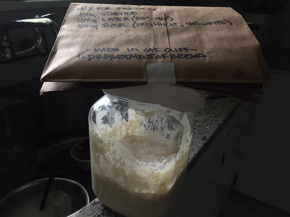townviewlibrary's tweet photo. for todayβs #disdcheckin the librarian practiced her other skills and developed some film plus prepped a sourdough starter in the kitchen #makeit @DISD_Libraries https://t.co/wtdHEDhPsh