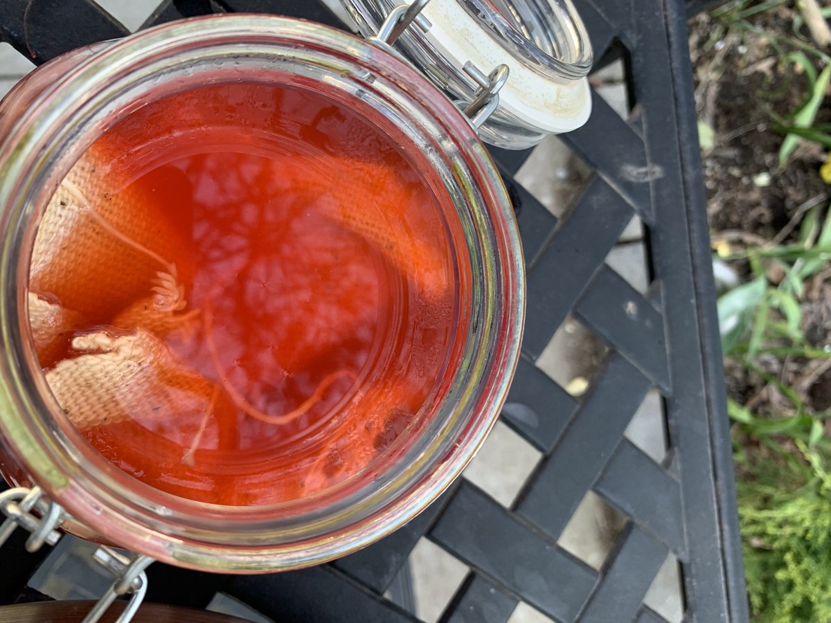 botanical dyeing with red onion skins and red rose petals . I enjoy witnessing this transformative process.