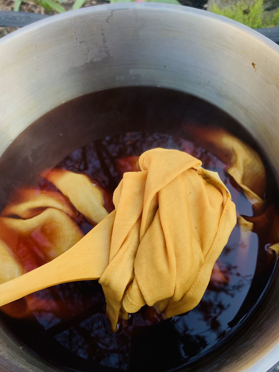 botanical dyeing with red onion skins and red rose petals . I enjoy witnessing this transformative process.