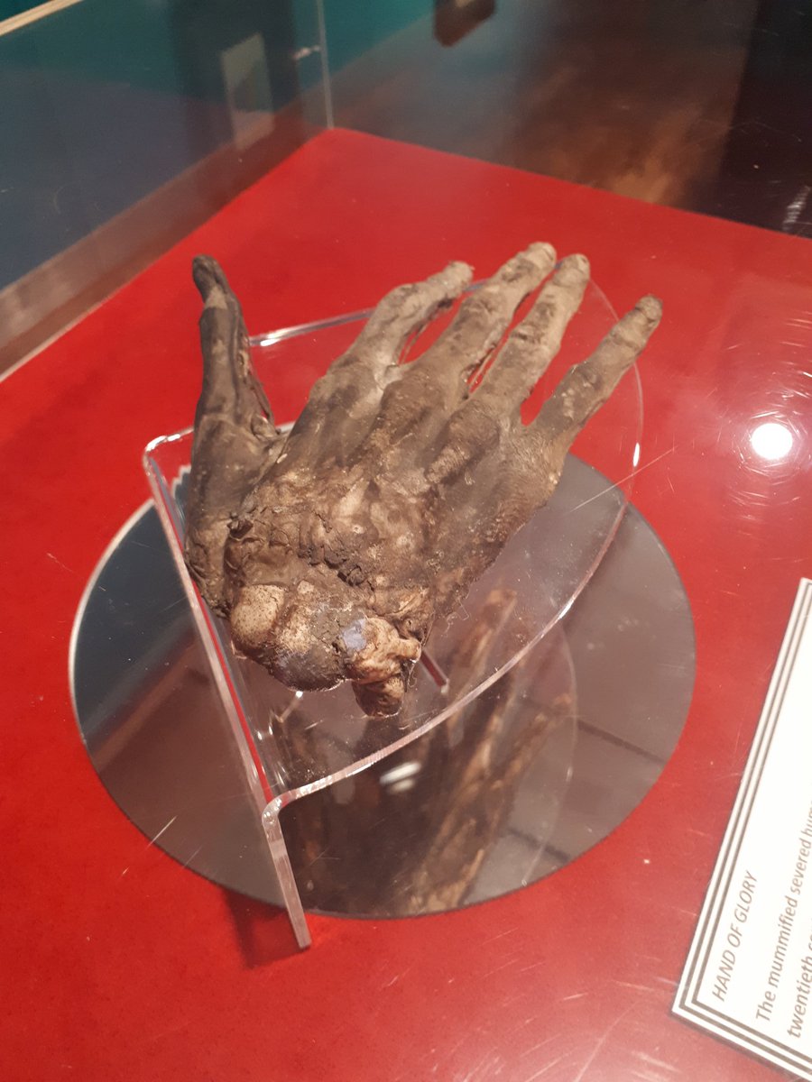1) Today's installment of the  #chronicleofcuriosities exhibition currently in lockdown  @whitbymuseum is the legendary  #handofglory There are various versions of the legend dating back to the 17th Century, but most claim that the hand of a convicted felon, cut from the body while