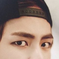 Taehyung’s thick dark eyebrows— a thread