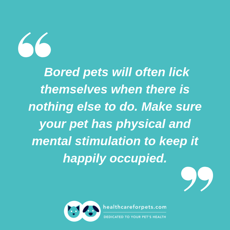 HealthCare_Pets's tweet photo. #TipTuesday: Alleviating excessive licking in pets.

For more info on #hairball prevention and home remedies in cats and dogs: https://t.co/vsVYJjERQq
.
.
.
#DogHealth #CatHealth #FelineHealth #CatBored #DogBored #DogStimulation #ExcessiveLicking #DogLicking #CatLicking https://t.co/e2l9ApSOVV