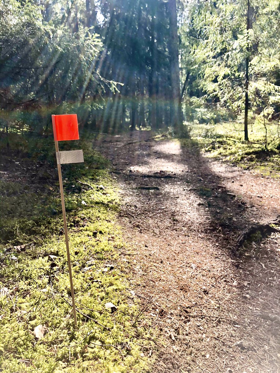 Bodom Trail tweet media