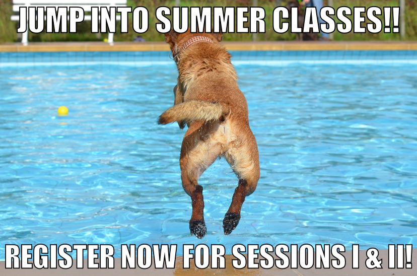 hilbertcjfs's tweet photo. Get ahead this summer with classes at Hilbert! While summer classes will be online due to COVID, see #TheHilbertDifference by taking classes poolside from our #amazingfaculty and getting remote support from our #wonderfulstaff! #summerclasses #collegelife โ๏ธ๐คฟ๐๐ป๐๐ฅโ๏ธ https://t.co/HSO3hxtoRm