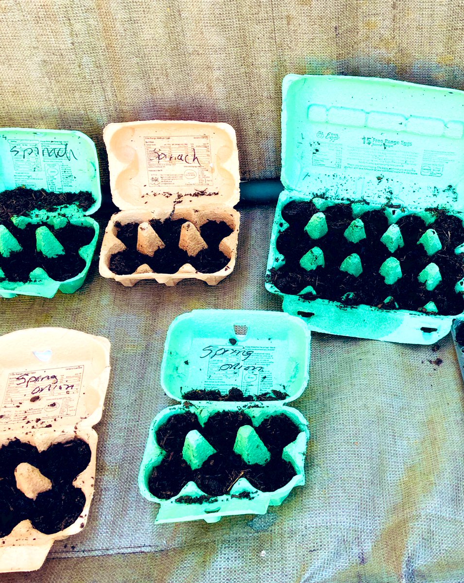 EileenWongWong's tweet photo. #MiniWongs had productive day completing their home learning assignments from @CoedGlas @CoedGlas2023 & @LlanishenHS.
Time for #mindfulness activity; Using egg boxes we’ve recycled to plant our vegetable seeds 🌱
#NoPlastic #GrowYourOwnFood https://t.co/PL97dj9JVh