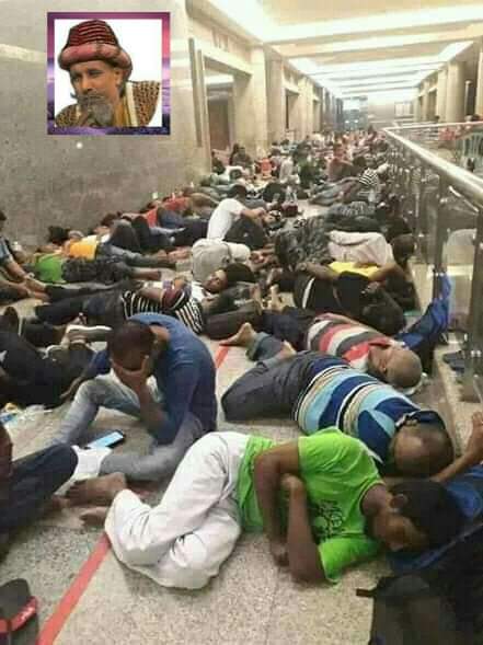 View image on Twitter