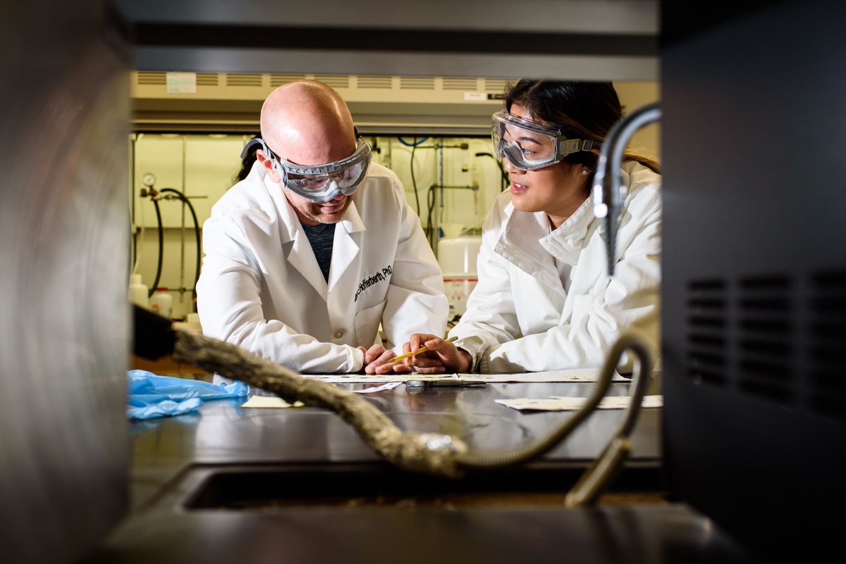 HLuceFdn's tweet photo. Congratulations to @KenyonCollege's Ryn Grutkoski, Katerina Tang, and Ericka Florio —all #CBLProgram Research Scholars—who were awarded Goldwater Scholarships, which support outstanding students in the natural sciences, engineering, and math. #WomenInSTEM https://t.co/NASAHoC5KW https://t.co/u2AiRHzRKA