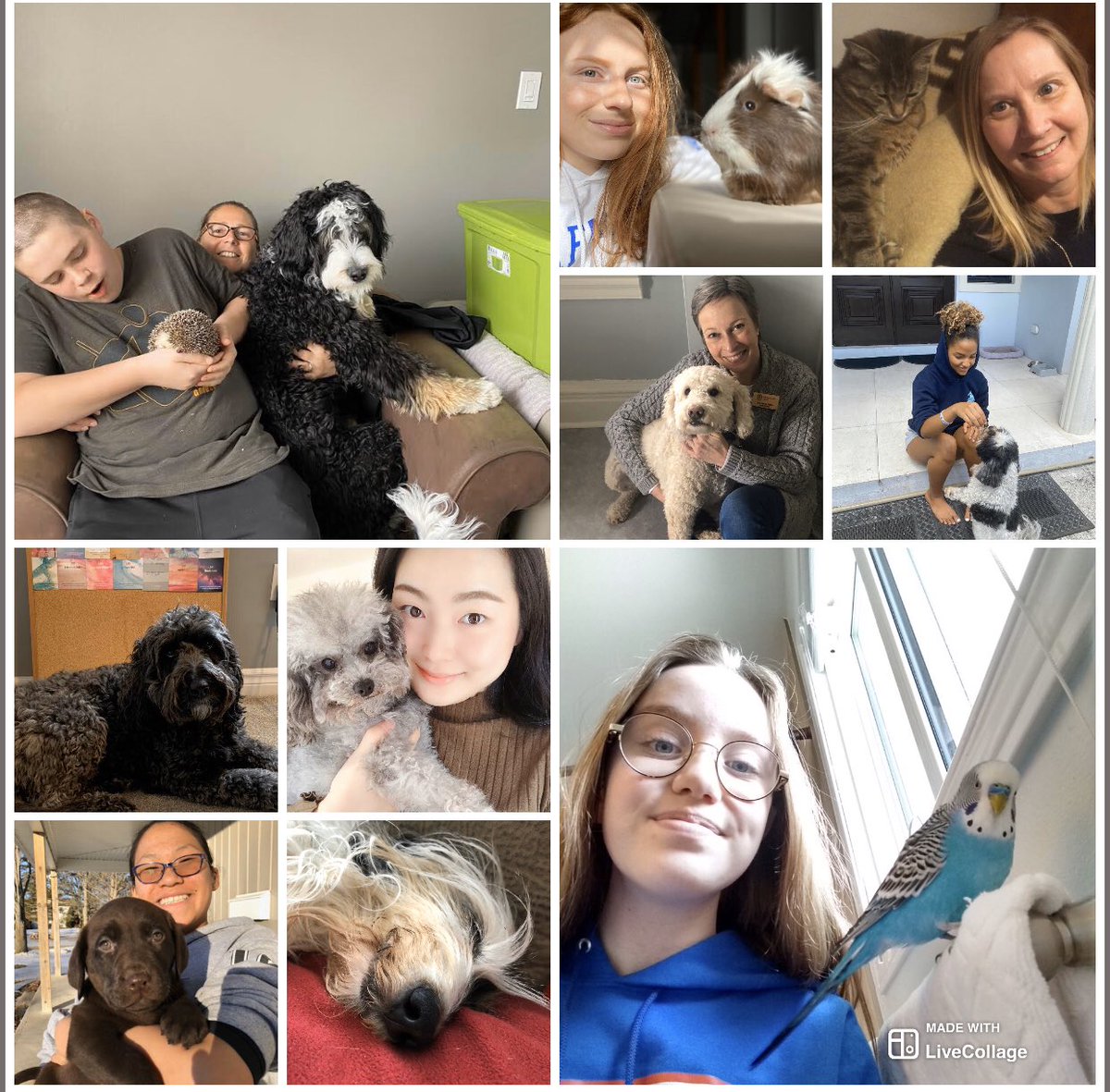 MrsMK2018's tweet photo. So many cute @trafalgarcastle pets!! #PetsofTrafalgar #TASCChallenge https://t.co/b1kQ6fH7YO