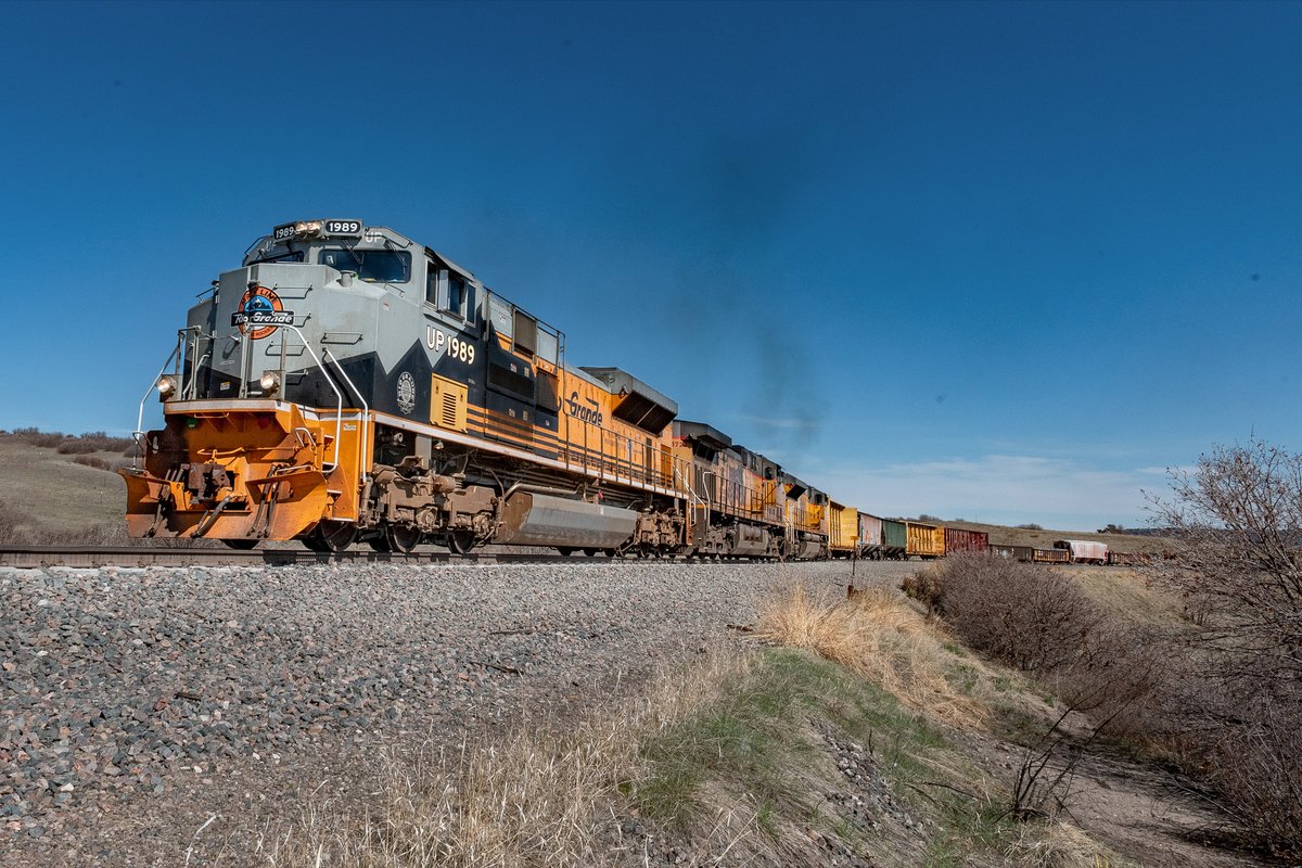 844useonly's tweet image. Union Pacific heritage 1989 leads on the Joint Line! #travel  #railsupremacy #artofrailroad #coloradorailroads  #railpictures  #coloradotrains #trainphotography  #trainphotography #jointline  #classictrains #電車 #貨物列車 #upheritageunit #up1989  #denverandriograndewestern #drgw