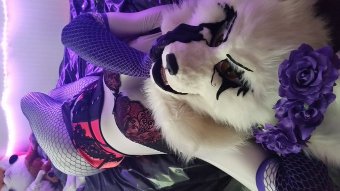 I feel really horny ❤️  Cant help but think at all the perverted things i could do with a partner ❤️❤️❤️  #Murrsuit<a href="/tag/nsfw"class="tags"><span>#nsfw</span></a><a href="/tag/softsuit"class="tags"><span>#softsuit</span></a><a href="/tag/murrsuit"class="tags"><span>#murrsuit</span></a><a href="/tag/murrsuits"class="tags"><span>#murrsuits</span></a>