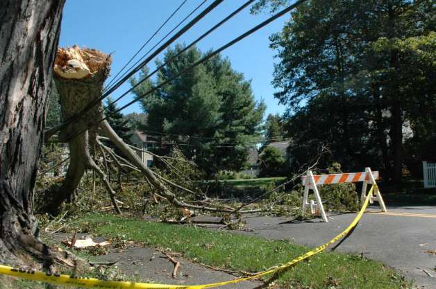 townofmiltonma's tweet photo. A very big thank you to #MiltonMA DPW, Parks, Cemetery &amp; Consolidated Facilities crews, @MiltonPolice &amp; @Mfdlocal1116,  and @EversourceMA for their tireless work through the recent storm. https://t.co/oPUATTdI6e