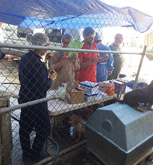 RescueExpress tweet media