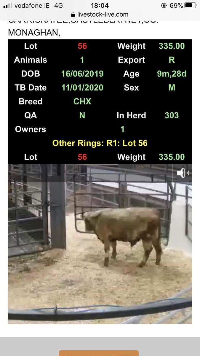 MatthewHalpin22's tweet photo. In Carnaross Mart for the weekly Tuesday evening weanling sale. Sale taking place completely online. 
Over 170 bulls and 100 heifers.
See report and pictures in this week’s @farmersjournal @FJBeef https://t.co/d2VMGXtxNf