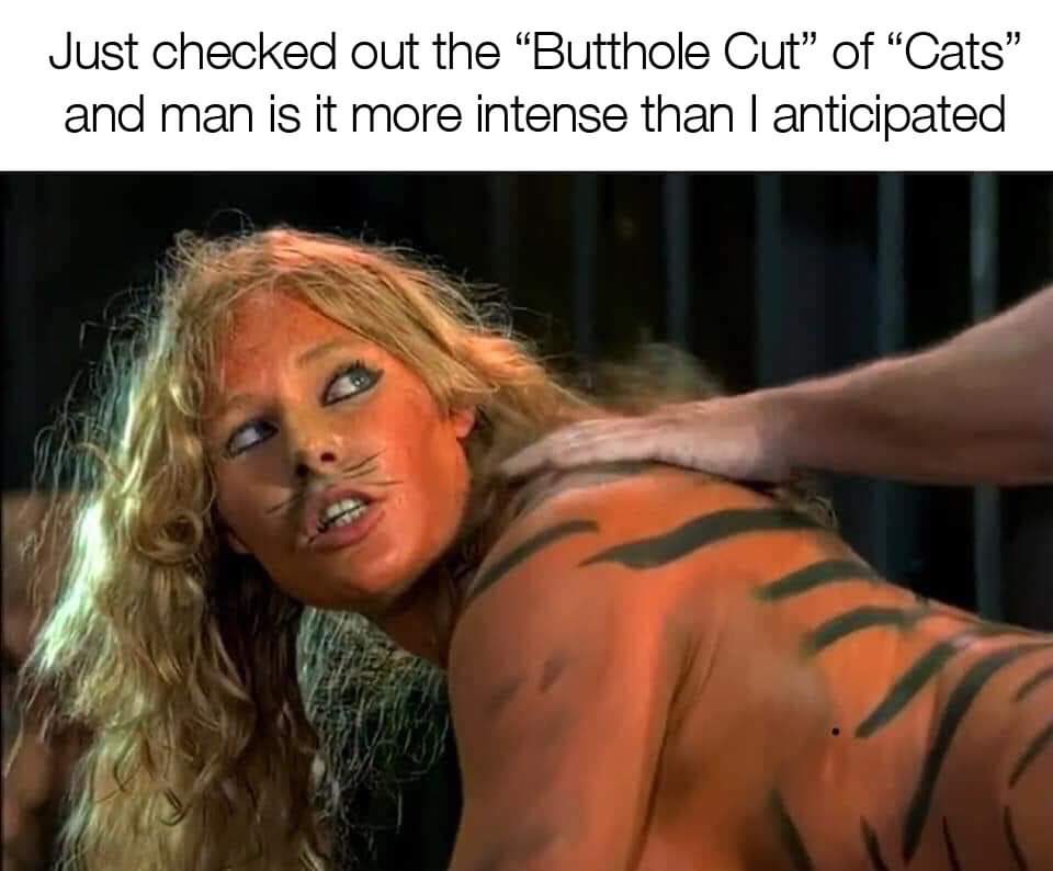 #cats #buttholecut