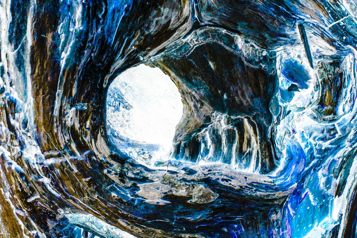 Park Lane Stables tweet media