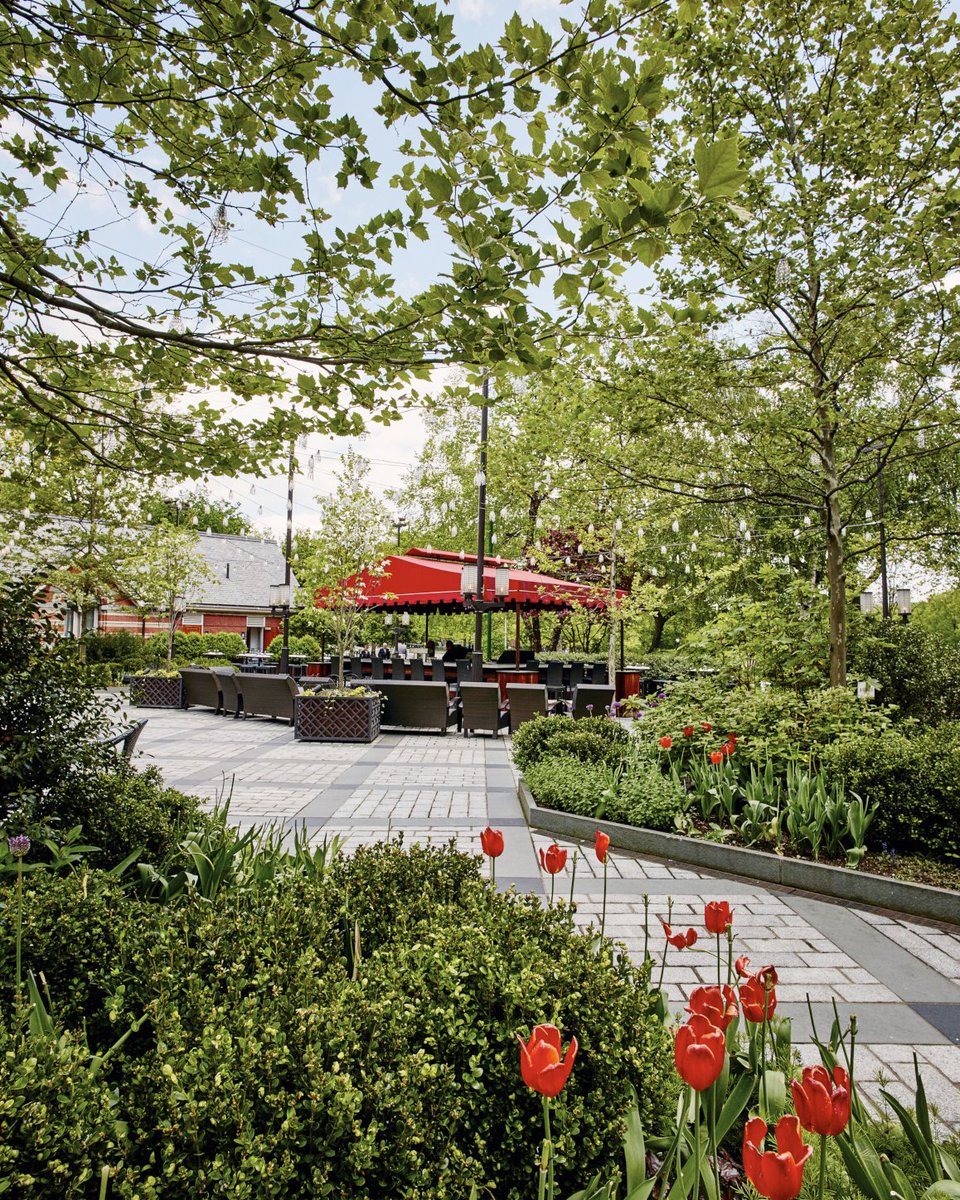 Tavern On The Green (@TavernGreenNYC) / Posts / X Tavern On The Green (@TavernGreenNYC) / Posts / X