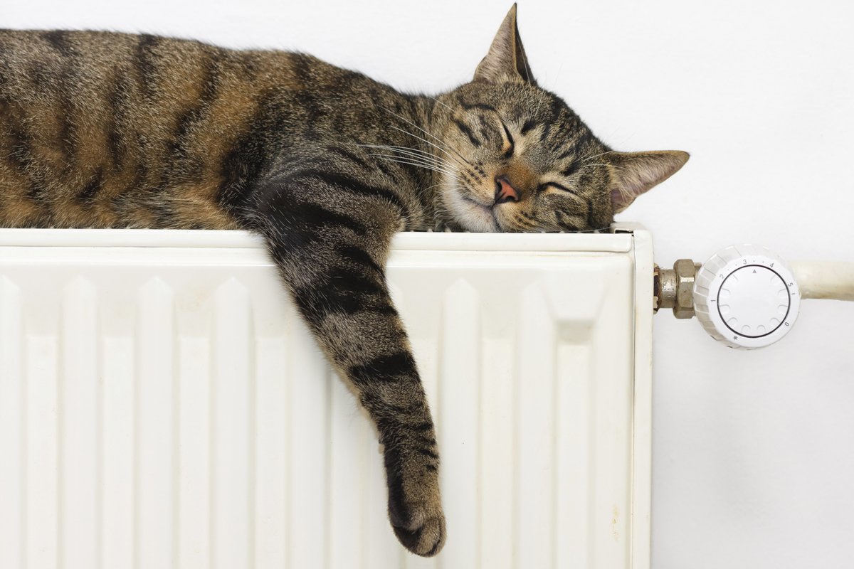 OFTEC's tweet photo. #HeatingAdvice - Turn off radiators in rooms you are not using to help save money and reduce usage by only heating those you need #energy https://t.co/h85VqMVZCi