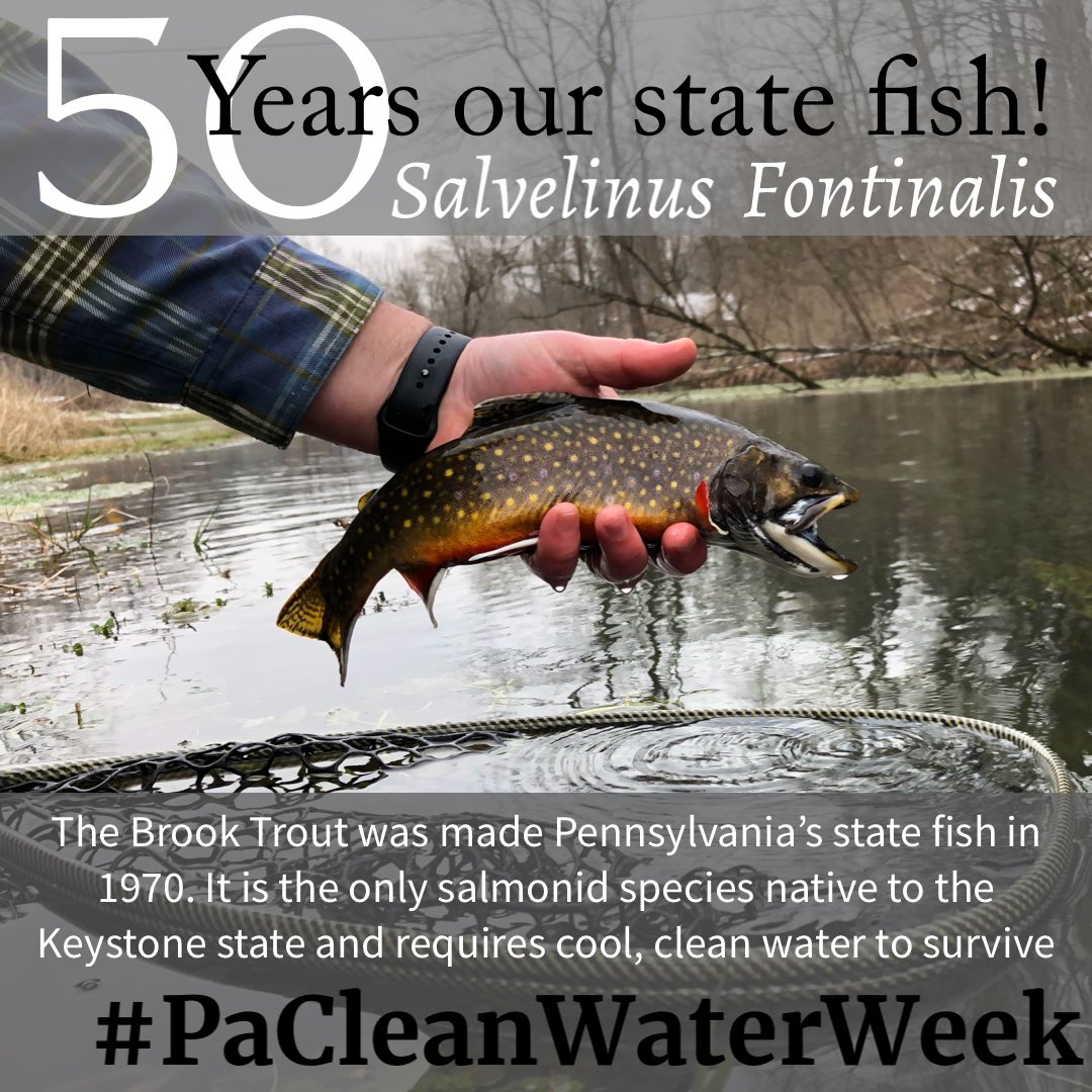 KeystoneFlyFish's tweet image. Did you know? #pacleanwaterweek