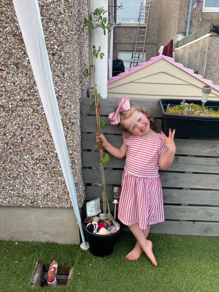 TerraceRoad's tweet photo. This #trpturtle has been busy looking after her beanstalk! 🌱Miss Tucker is so proud of her and misses her lots ❤️ Keep the pictures coming nursery, they truly make my day ⭐️ #staysafe #trpcom #trpkuw https://t.co/vyMuFuOP0S