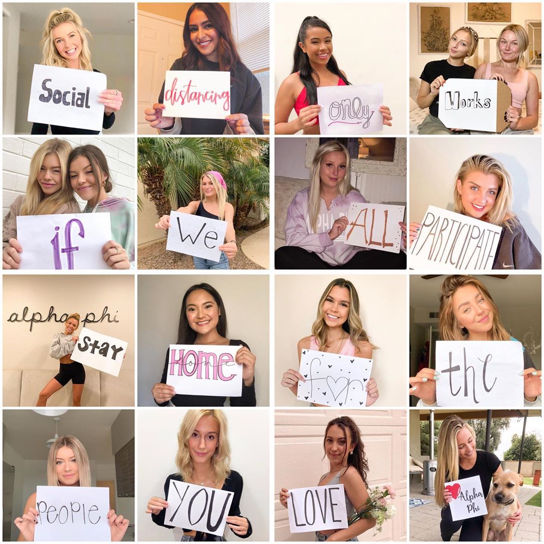 Alpha Phi tweet media